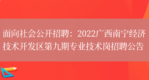 面向社會(huì )公開(kāi)招聘：2022廣西南寧經(jīng)濟技術(shù)開(kāi)發(fā)區第九期專(zhuān)業(yè)技術(shù)崗招聘公告(圖1)