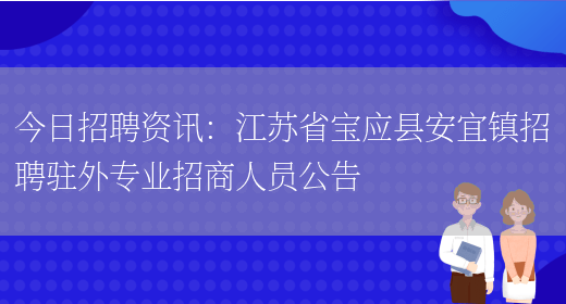 今日招聘資訊：江蘇省寶應縣安宜鎮招聘駐外專(zhuān)業(yè)招商人員公告(圖1)