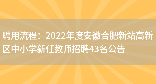 聘用流程：2022年度安徽合肥新站高新區中小學(xué)新任教師招聘43名公告(圖1)