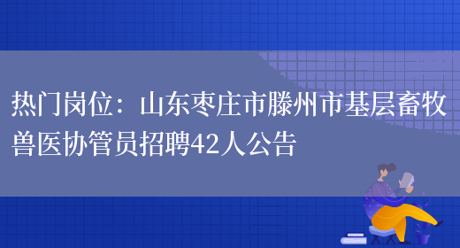 熱門(mén)崗位：山東棗莊市滕州市基層畜牧獸醫協(xié)管員招聘42人公告(圖1)