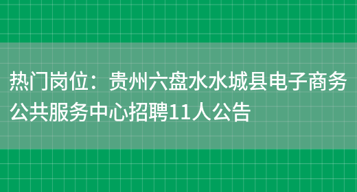 熱門(mén)崗位：貴州六盤(pán)水水城縣電子商務(wù)公共服務(wù)中心招聘11人公告(圖1)