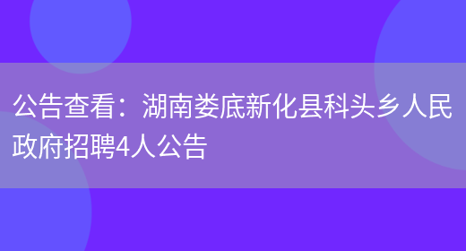 公告查看：湖南婁底新化縣科頭鄉人民政府招聘4人公告(圖1)