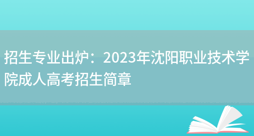 招生專(zhuān)業(yè)出爐：2023年沈陽(yáng)職業(yè)技術(shù)學(xué)院成人高考招生簡(jiǎn)章(圖1)