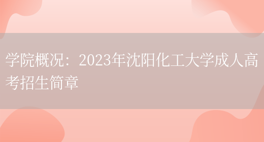 學(xué)院概況：2023年沈陽(yáng)化工大學(xué)成人高考招生簡(jiǎn)章(圖1)