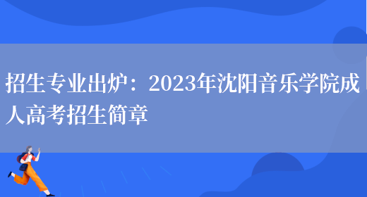 招生專(zhuān)業(yè)出爐：2023年沈陽(yáng)音樂(lè )學(xué)院成人高考招生簡(jiǎn)章(圖1)