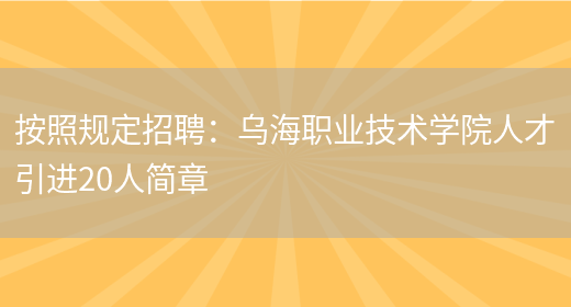 按照規定招聘：烏海職業(yè)技術(shù)學(xué)院人才引進(jìn)20人簡(jiǎn)章(圖1)