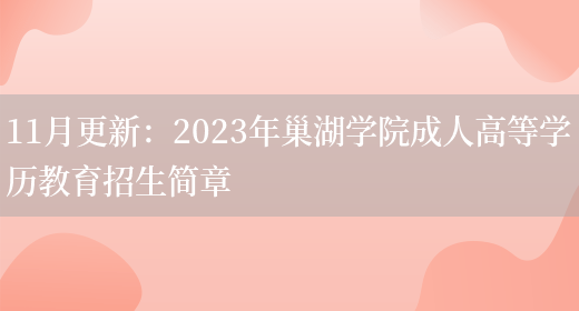 11月更新：2023年巢湖學(xué)院成人高等學(xué)歷教育招生簡(jiǎn)章(圖1)