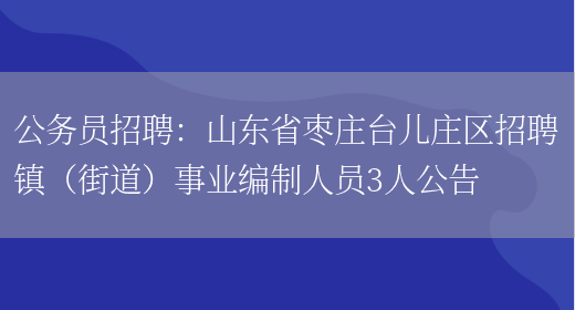 公務(wù)員招聘：山東省棗莊臺兒莊區招聘鎮（街道）事業(yè)編制人員3人公告(圖1)