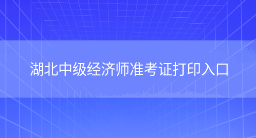 湖北中級經(jīng)濟師準考證打印入口(圖1)