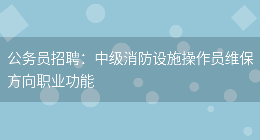 公務(wù)員招聘：中級消防設施操作員維保方向職業(yè)功能(圖1)